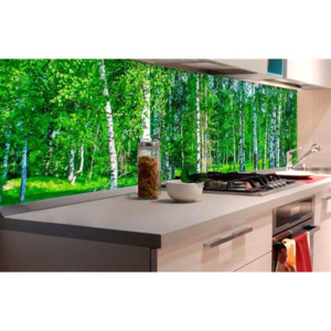 Samolepiace tapety za kuchynskú linku, rozmer 180 cm x 60 cm, brezový les, DIMEX KI-180-044