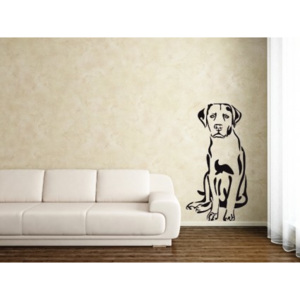 Dekorácie na stenu - Labrador - 60 x 110 cm - 044