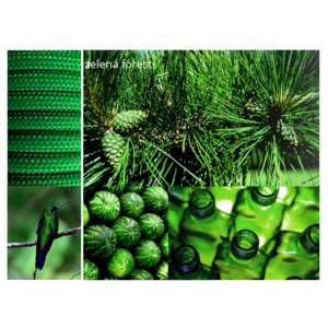 Kábel + objímka, Farba zelená forest