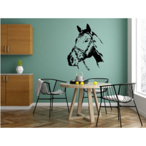 Dekorácia na stenu - Hlava koňa - 60 x 75 cm - 188
