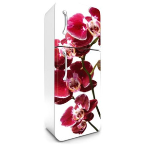 Samolepiace tapety na chladničku, rozmer 180 cm x 65 cm, orchidea, DIMEX FR-180-014