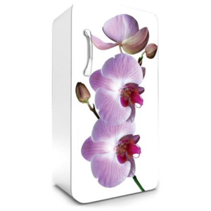 Samolepiace tapety na chladničky, rozmer 120 cm x 65 cm, fialová orchidea, DIMEX FR-120-024