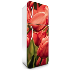 Samolepiace tapety na chladničku, rozmer 180 cm x 65 cm, tulipány, DIMEX FR-180-012