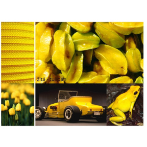 Kábel + objímka, Farba žltá tulipán