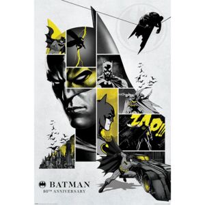 Plagát - Batman 80th Anniversary
