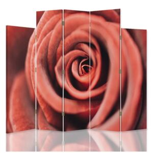 CARO Paraván - Flower Of Rose 1 | päťdielny | obojstranný 180x180 cm