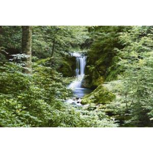 Fototapety, rozmer 366 x 254 cm, Waterfall in Spring, W+G 279