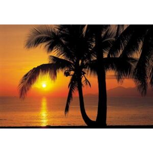 Fototapety, rozmer 368 x 254 cm, Palmy Beach Sunrise, Komar 8-255