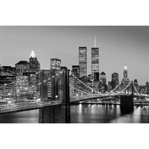 Fototapety, rozmer 175 x 115 cm, Manhattan, W+G 625