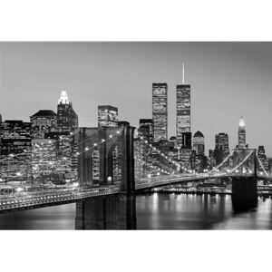 Fototapety, rozmer 366 x 254 cm, Manhattan Skyline at Night, W+G 138