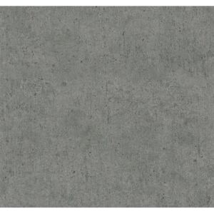 Vliesové tapety, betón hnedý, Guido Maria Kretschmer 246420, P+S International, rozmer 10,05 m x 0,53 m