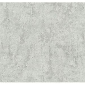Vliesové tapety, betón sivý, Guido Maria Kretschmer 246210, P+S International, rozmer 10,05 m x 0,53 m