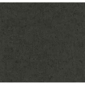 Vliesové tapety, betón sivý, Guido Maria Kretschmer 246430, P+S International, rozmer 10,05 m x 0,53 m
