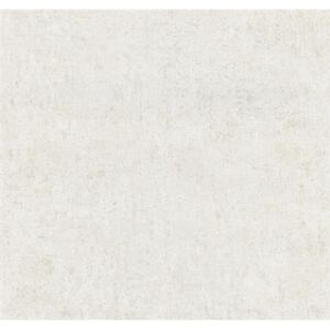 Vliesové tapety, betón hnedý, Guido Maria Kretschmer 246440, P+S International, rozmer 10,05 m x 0,53 m