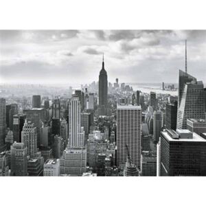 Fototapety, rozmer 368 x 254 cm, New York, Sunny Decor SD323