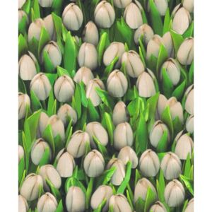 Vinylové tapety, tulipány biele, Allure 416709, IMPOL TRADE, rozmer 10,05 m x 0,53 m