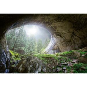Fototapety, rozmer 368 x 254 cm, jaskyňa v lese, W+G 5078-4P-1