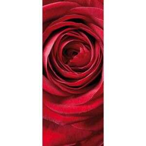 Vliesové fototapety, rozmer 92 cm x 220 cm, ruže, Sunny Decor SD1010
