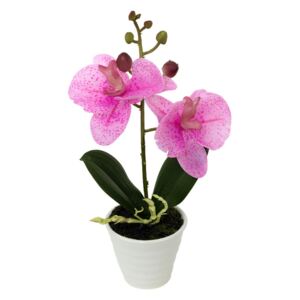 Orchidea v keramickom kvetináči, sv. ružová, ORC720919