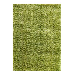Kusový koberec Shaggy Ribbon zelený, Velikosti 160x230cm