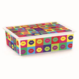 KIS Dekoračný úložný box C-Box Style Artists L, 27 l