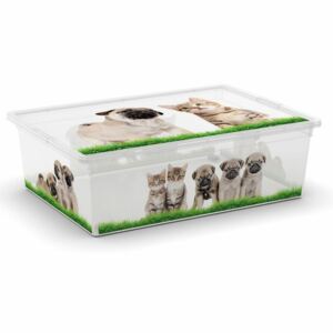 KIS Dekoračný úložný box C-Box Puppy & Kitten L, 27 l