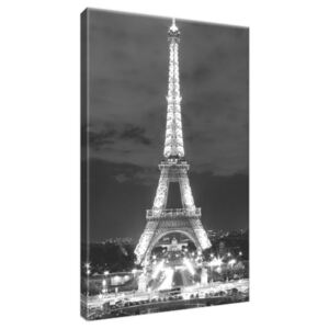 Obraz na plátne Eiffelova veža čierno-biela 20x30cm 518A_1S