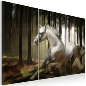 Obraz na plátne Bimago - Cval v lese 60x40 cm