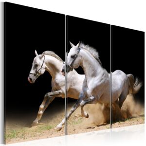 Obraz na plátne Bimago - Koně: síla a rychlost 60x40 cm