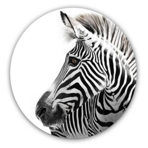 Styler Skleněný guľatý obraz - Zebra