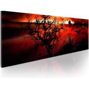 Obraz na plátne - Black marsh 120x40 cm