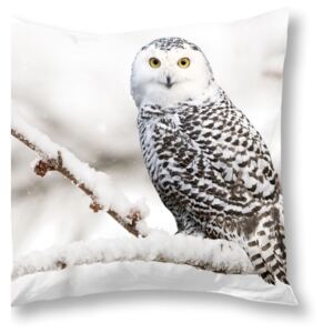 Obliečka na vankúš Muller Textiels Snowy Owl, 50 × 50 cm