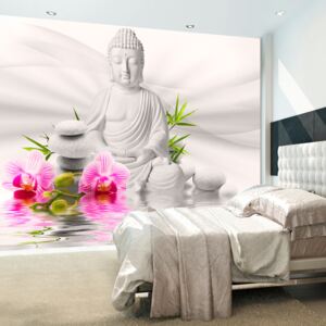 Fototapeta - Buddha and Orchids 400x280 cm