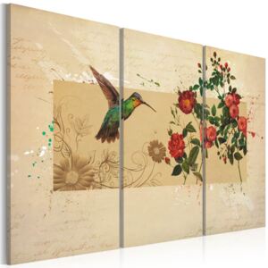 Obraz na plátne - Kolibřík a růže 60x40 cm