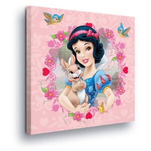 Obraz na plátne - Portrait of Disney Snow White 40x40 cm