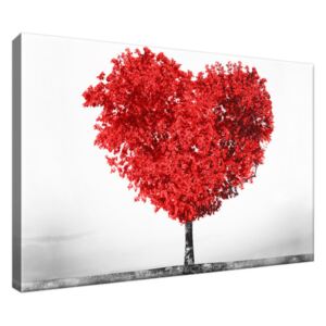 Obraz na plátne Strom lásky do červena 30x20cm 2562A_1T