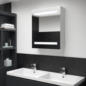 LED kúpeľňová zrkadlová skrinka 50x14x60 cm