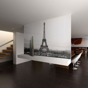 Fototapeta - Paris: black and white photography 200x154 cm