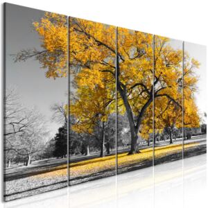 Murando DeLuxe Pětidílný obraz podzim v parku žlutý II 150x60 cm