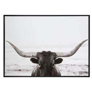 RÁm bull wood / canvas black / white - 104*144*4,3 cm