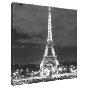 Obraz na plátne Eiffelova veža čierno-biela 30x30cm 518A_1AI