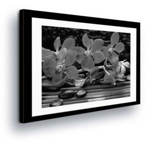 GLIX Obraz na plátne - Black & White Flowers in Passepartout III 50x70 cm