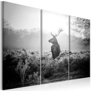 Bimago Obraz na plátne - Black and White Deer I 90x60 cm