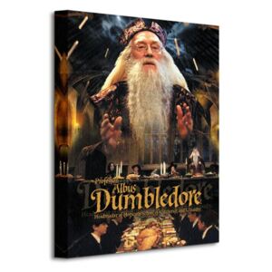 Obraz na plátne Harry Potter (Dumbledore) 40x50cm WDC94235