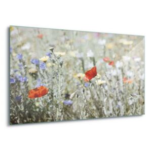 Obraz na skle GLIX - Meadow Colours 100x75 cm