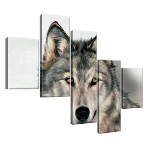 Obraz na plátne Šedivý vlk 100x75cm 3341A_5K