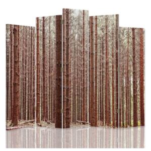 CARO Paraván - Larch Forest | päťdielny | obojstranný 180x180 cm
