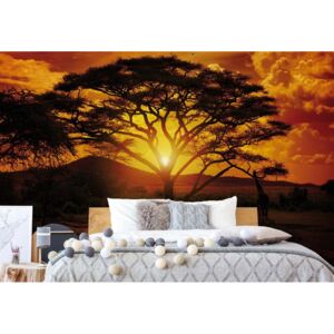 Fototapeta GLIX - African Sunrise + lepidlo ZADARMO Vliesová tapeta - 520x318 cm