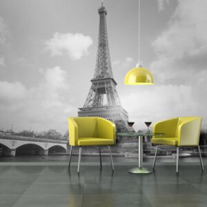 Fototapeta - Seina a Eiffelova věž 200x154 cm