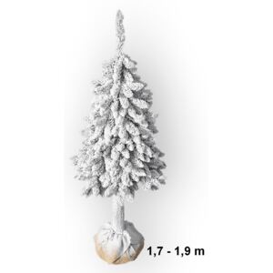 Vianočný stromček zasnežený na pníku 1,7-1,9 m 383